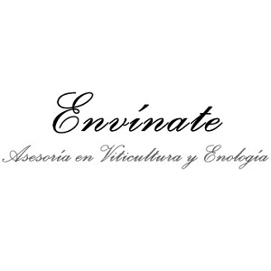 Extremadura, Spain: Envinate