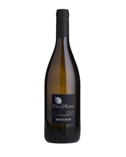 Sauvignon Doc Collio