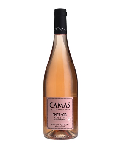 Camas Pinot Noir Rose